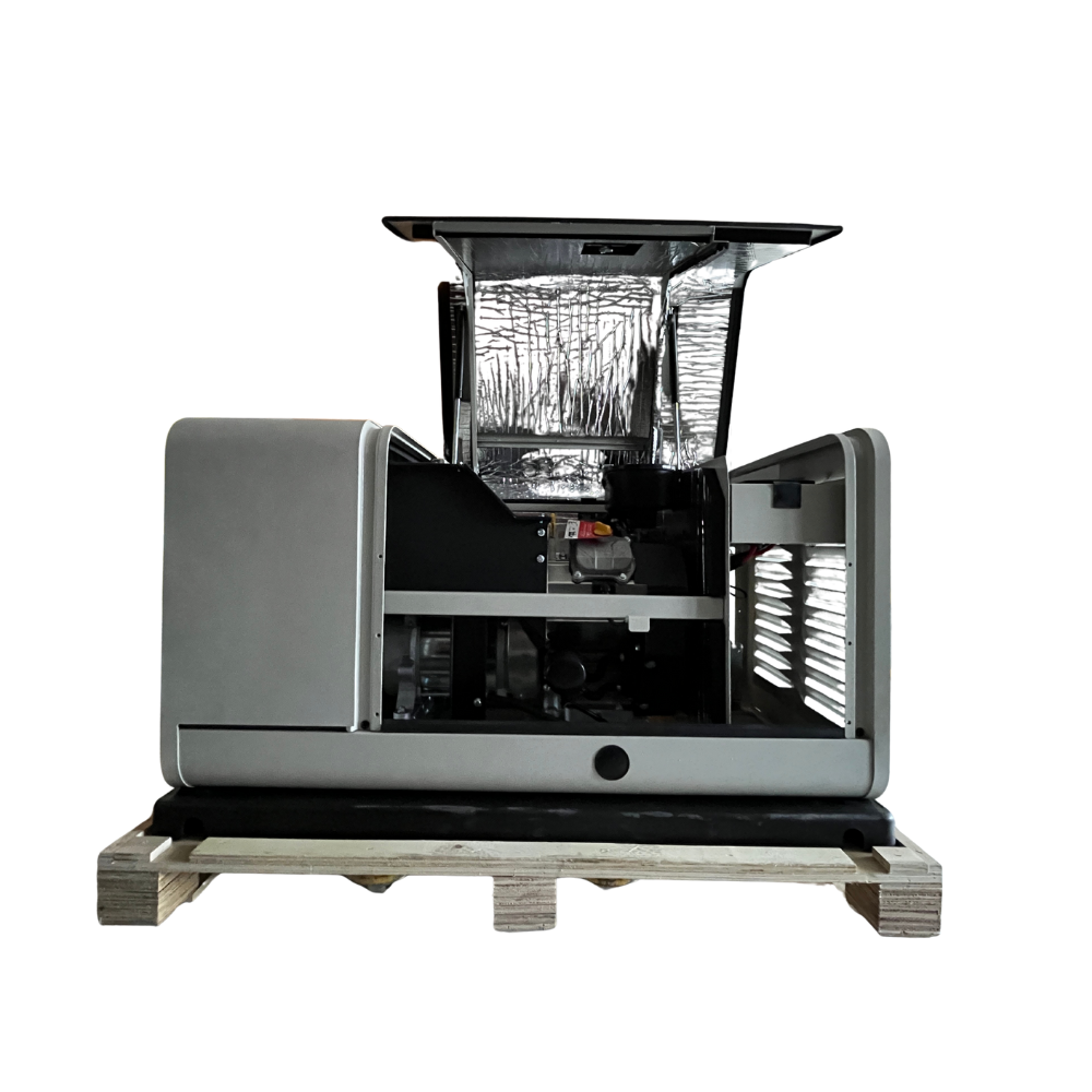 FME GA12000 /GG14 LPG/NG Power Generator